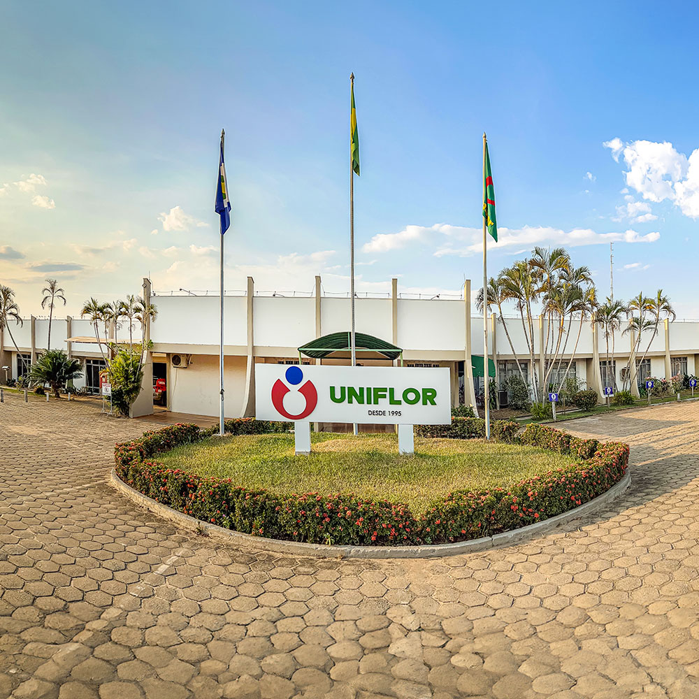 Estrutura acadêmica da Uniflor